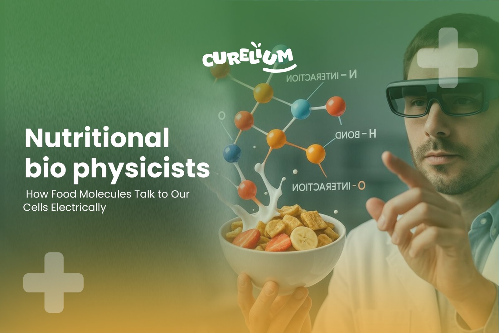 Nutritional Biophysics: How Food Molecules Communicate with Our Cells Electrically
