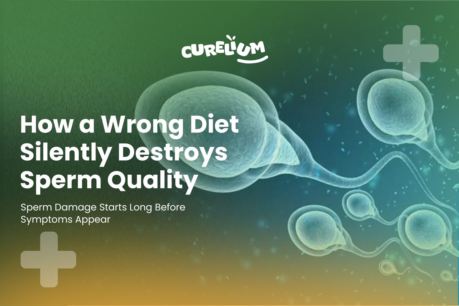 How a Wrong Diet Silently Destroys Sperm Quality