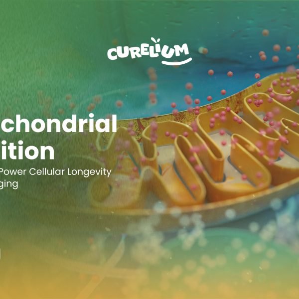 Web site Image CUrelium 18